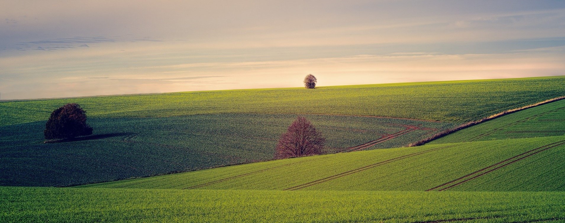 Best land & forestry investment books