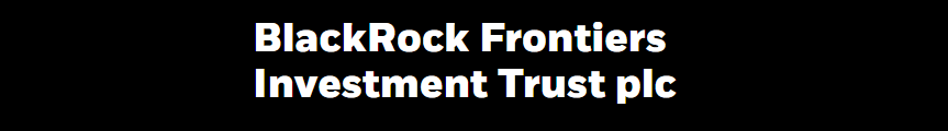 Blackrock frontiers investments